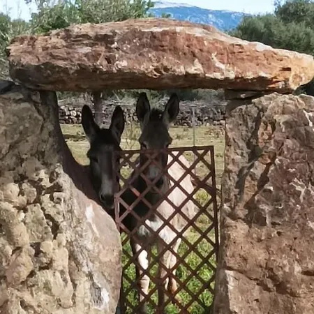 Agriturismo Iloghe *