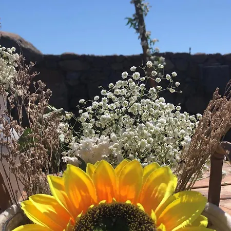 בית כפרי Iloghe דורגלי