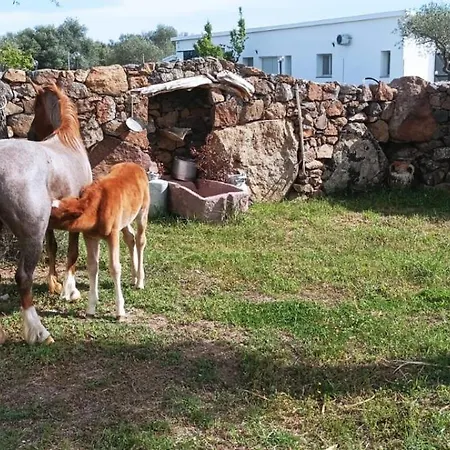 Agriturismo Iloghe Country house *