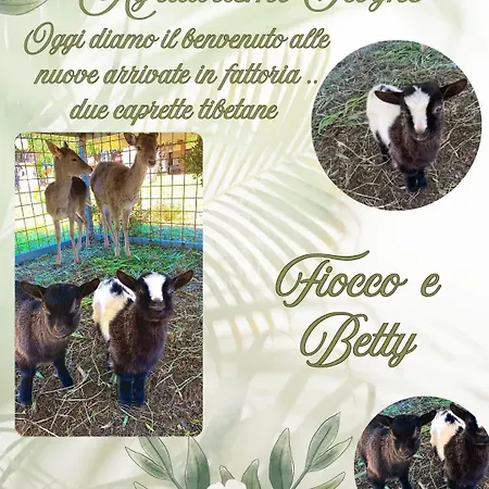 Agriturismo Iloghe Country house Dorgali