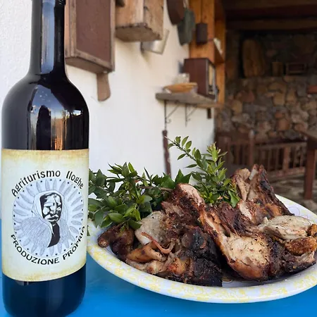 Agriturismo Iloghe Country house