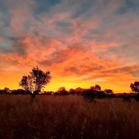בית כפרי Iloghe
