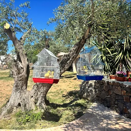 Iloghe Landsted Dorgali