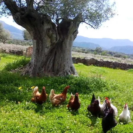 Agriturismo Iloghe
