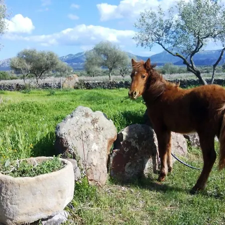 Agriturismo Iloghe *